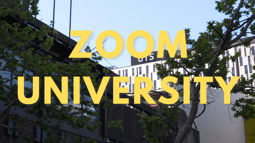 Zoom University (2020)